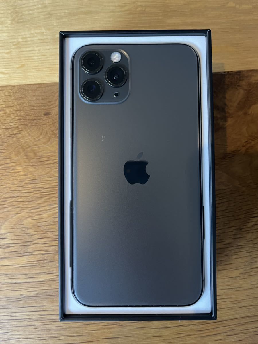 iPhone11 Pro 256GB スペースグレイ 付属品 ドコモ 元箱あり devsoft.co.ao