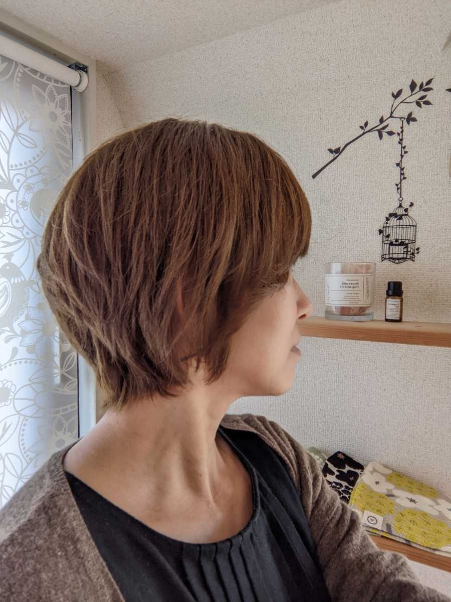 超目玉 ✨サラサラ高級人毛100%✨ ショート人毛ウイッグ 医療用かつら