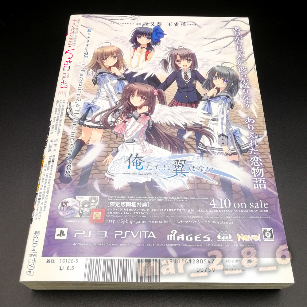 福袋特集 チャンピオンREDいちご VOL.43 付録無し machiuma.com