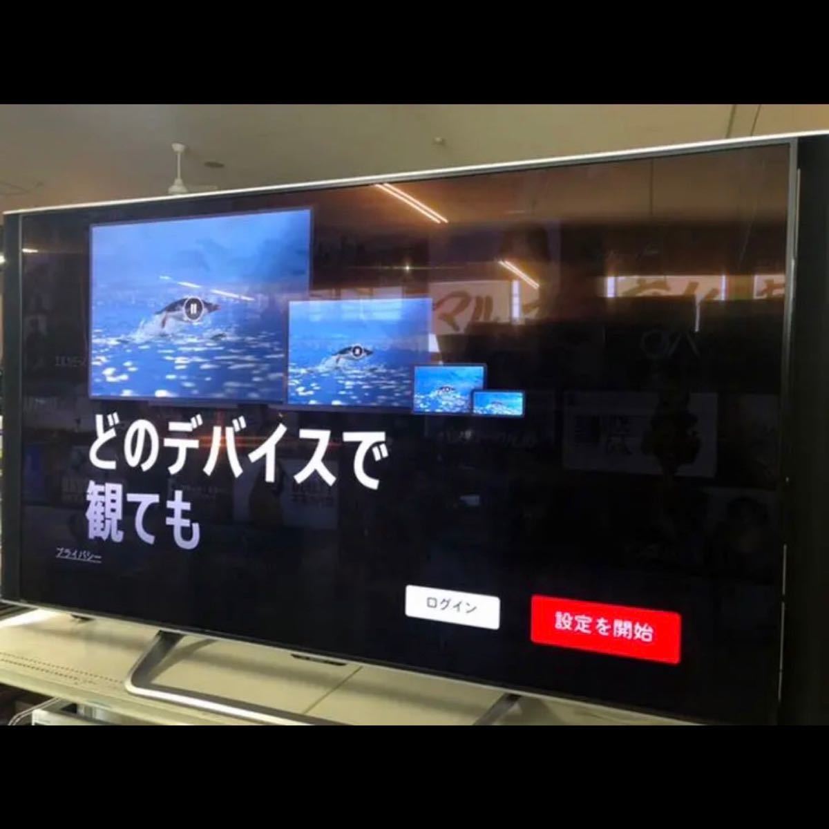 たけ様 zubairfurnishing.com