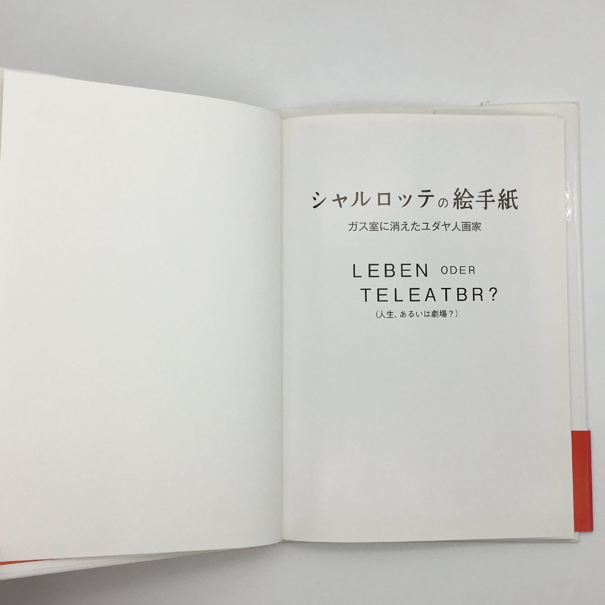 シャルロッテの絵手紙　～ガス室に消えたユダヤ人画家～　シャルロッテ・サルモン　東銀座出版_画像2