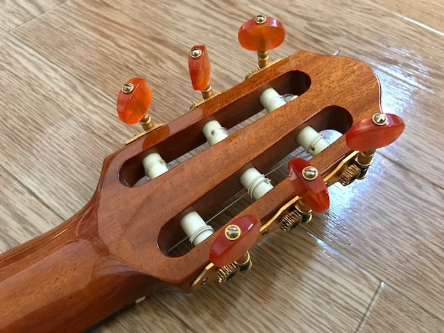 YAMAHA サイレントギター SLG-120NW - coastalcareeracademy.com