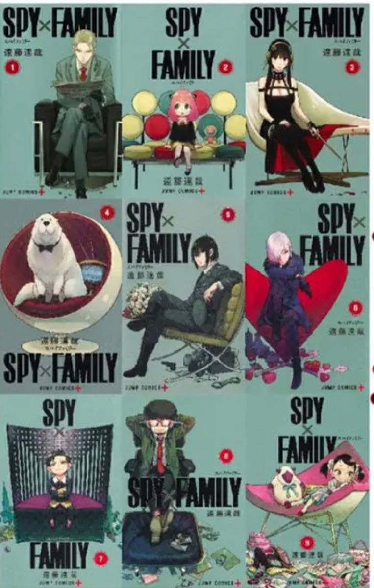 スパイファミリー　SPY×FAMILY  全巻セット