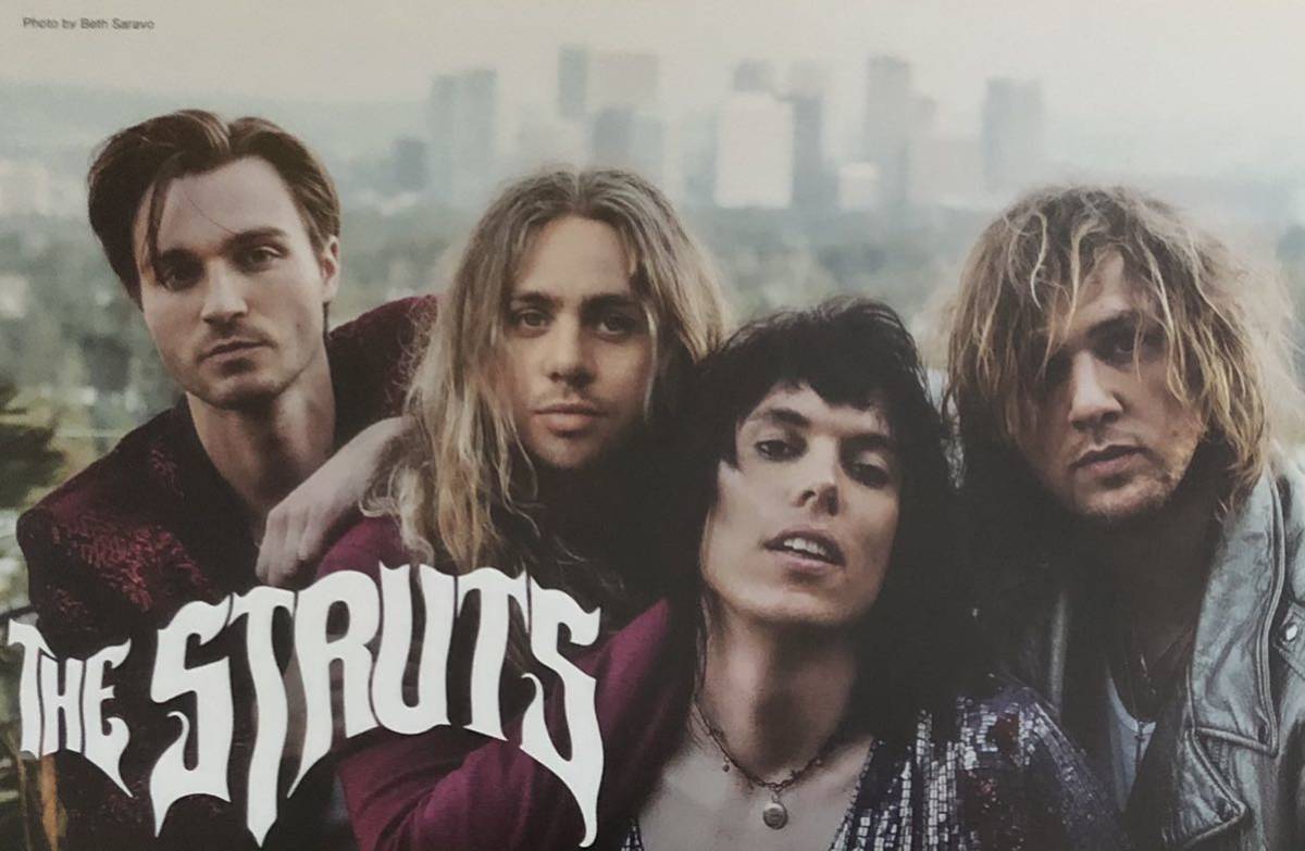 新品 THE STRUTS (ザ・ストラッツ) インタビュー 掲載 冊子 非売品「ヤング&デンジャラス」_画像1