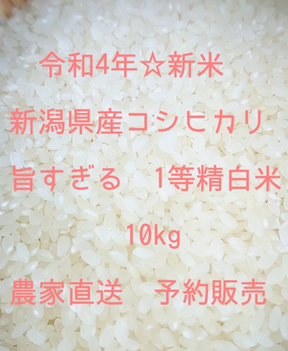 新米】旨さ抜群!令和4年度 新潟県産コシヒカリ 精白米10kg - www.hondaesseauto.com 新米】旨さ抜群!令和4年度 新潟県産コシヒカリ 精白米10kg - www.hondaesseauto.com