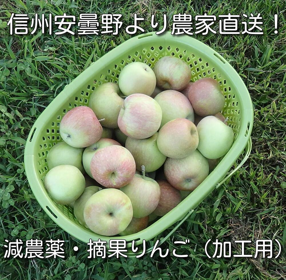 長野県産 摘果りんご ふじ 約10キロ 加工用 果物