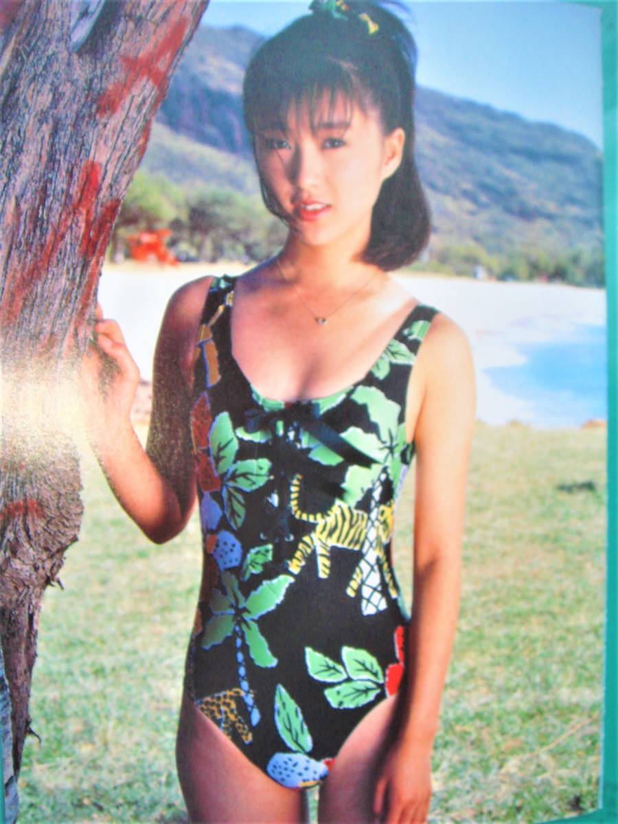 * valuable swimsuit 12P* Sakai Noriko * that time thing scraps *No.13,211*80 year 90 fee Showa era idol *