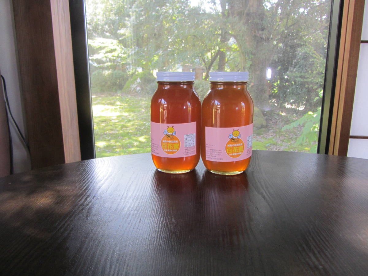 日本ミツバチの蜂蜜(日本蜜蜂の蜂蜜)1.2kg を2本合計2.4kg
