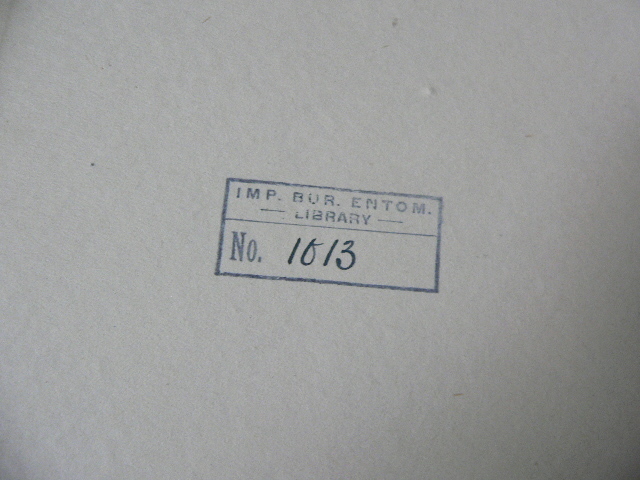 UNITED STATES NATIONAL MUSEUM, PROCEEDINGS. Vols. 32～56(1907～1919年) 　昆虫　アメリカ国立博物館 研究報告_画像5
