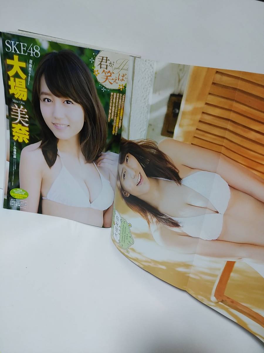 ヤングチャンピオン2015年12/8No.24　大場美奈表紙・巻頭グラビア　両面ポスター付き　クリアファイル欠　HAZUKI_画像3