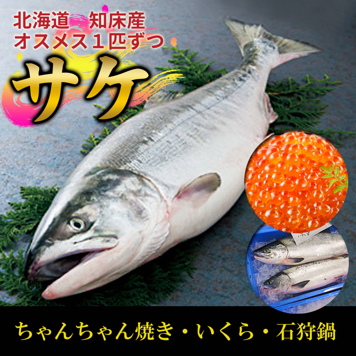 【生】秋鮭アキアジ特上オホーツク産 オス1メス1匹 計2匹セット 至高の美味しさ
