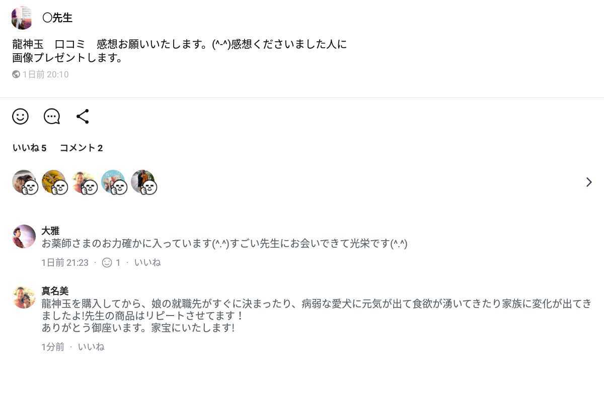 限定販売】 厄よけ災い打破 金運龍神お守り 一点もの 占い 限定販売】 厄よけ災い打破 金運龍神お守り 一点もの 占い