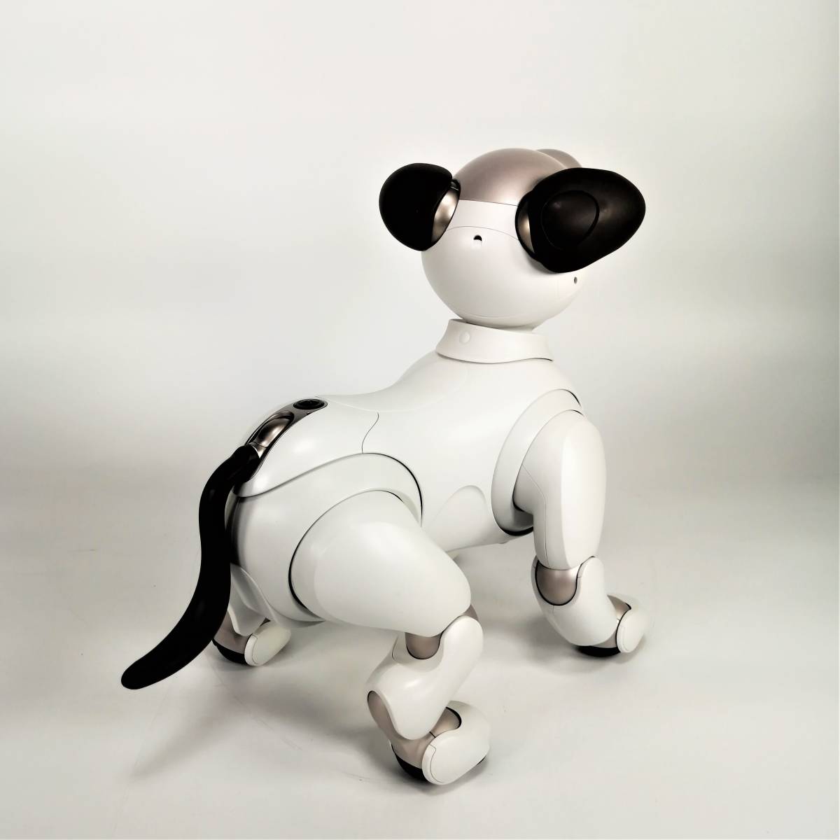 Aibo ERS-1000 アイボ ペット エンタテイメント ロボット バーチャル