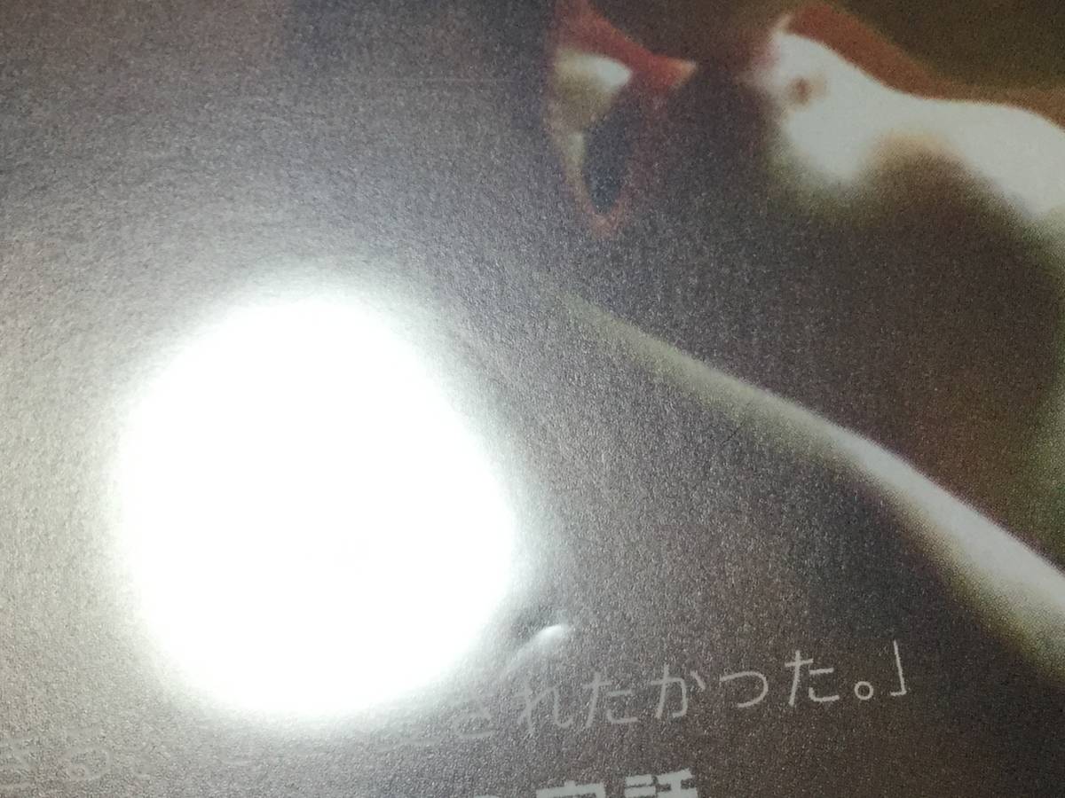 ◆日本語吹替収録 再生面良好 動作OK セル版◆メリッサ・P 青い蕾 DVD 国内正規品マリア・バルベルデ 即決_画像4
