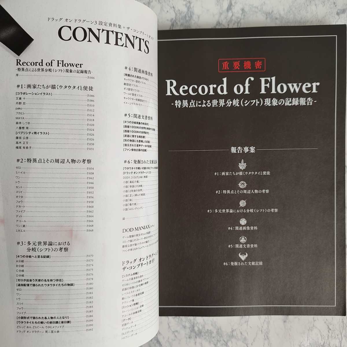 ドラッグ オン ドラグーン3 設定資料集 ザ・コンプリートガイド ドラッグ オン ドラグーン3 設定資料集 ザ・コンプリートガイド