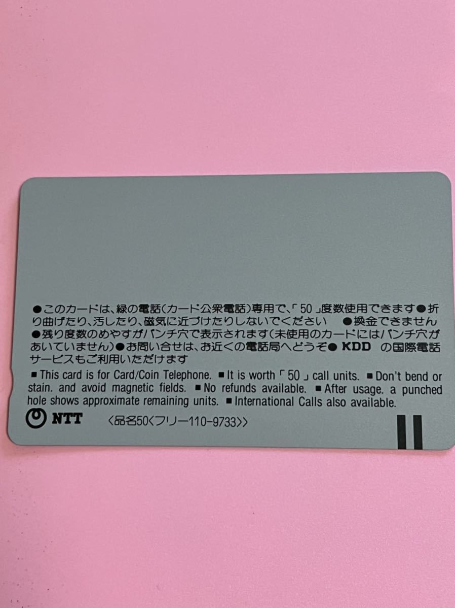 長瀞　国指定　名勝　天然記念物　テレホンカード 未使用品　50度_画像2