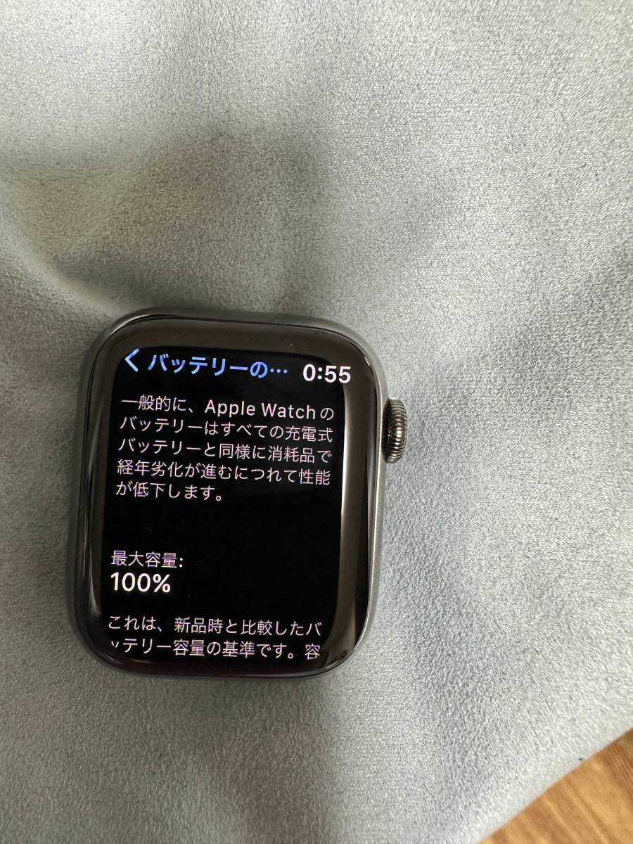 Apple Watch Series 7 41mm Stainless Steel Case(グラファイト