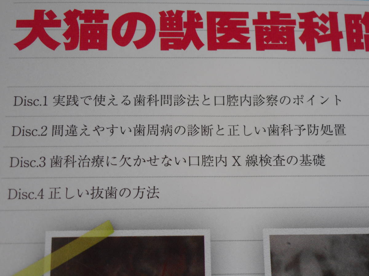 教科書には載っていない！犬猫の獣医歯科臨床 DVD4枚組　動物病院　歯科治療　口腔内診察　医療情報研究所_画像5