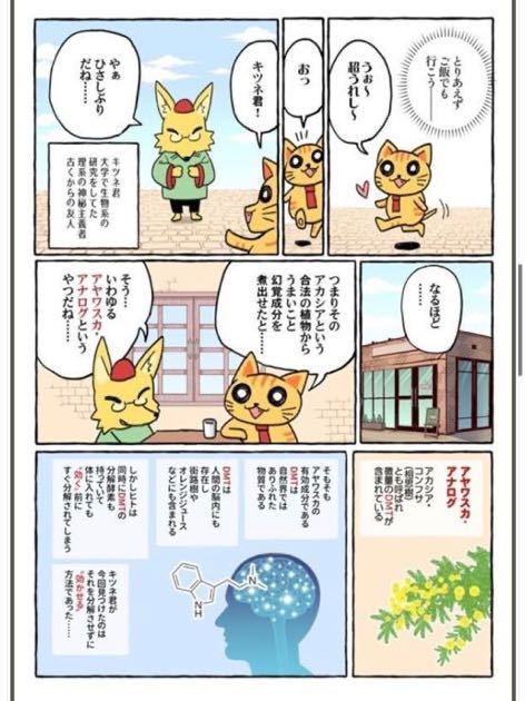 キメねこ総集編