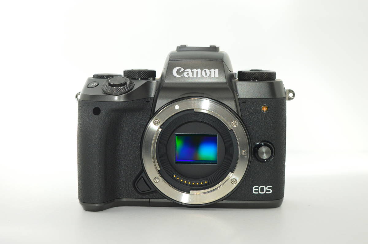 ☆美品☆ キヤノン Canon EOS M5 ボディ | www.tefcoglobal.com