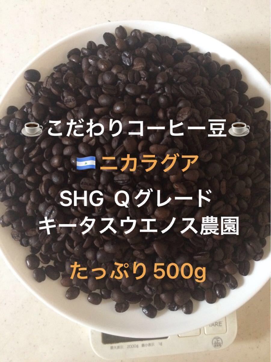 こだわりコーヒー豆　ニカラグアSHG 500g中深煎り　自家焙煎珈琲　キータスウエノス農園Qグレード