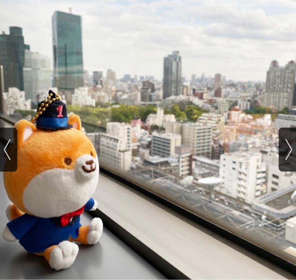MIU404 1周年ポリまるマスコット|Yahoo!フリマ(旧PayPayフリマ) MIU404 1周年ポリまるマスコット|Yahoo!フリマ(旧PayPayフリマ)