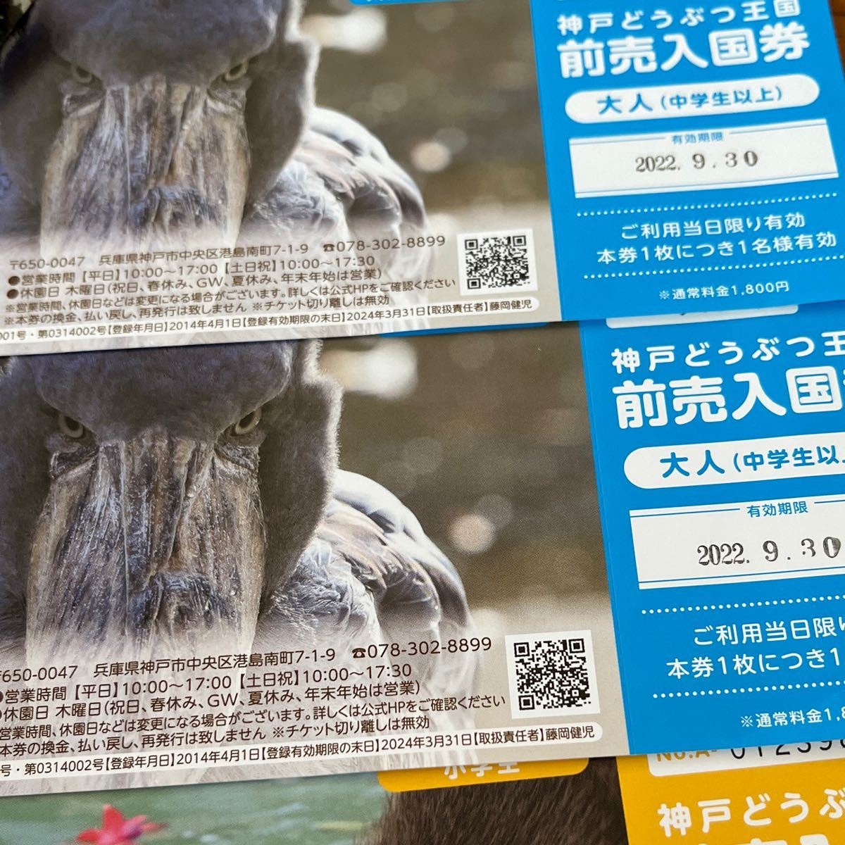 神戸どうぶつ王国 チケット - 動物園