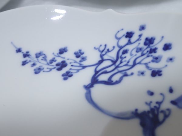 豊J6-929/1J〇Meissen マイセン ブルーオーキッド 6枚揃 約18.5㎝ 箱