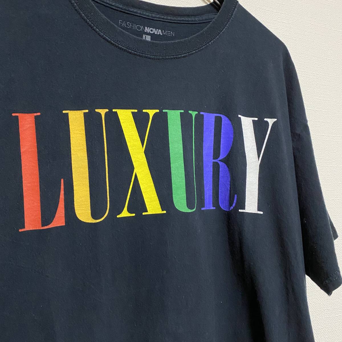 アメリカ古着　半袖Tシャツ　プリント　コットン　Lサイズ　ユニセックス　【E244】