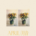 [MUSIC] 試聴即決★EMMY THE GREAT / APRIL / 月音 (LP)_画像1
