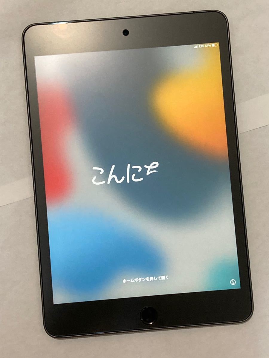 APPLE iPad mini 第5世代 256GB MUXC2J/A SIMフリー スペースグレー