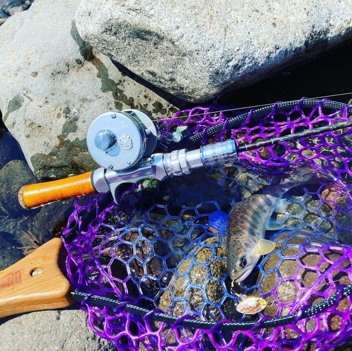 尺サイズスプリングネット ハンディパックインスタネット改 魚体撮影に