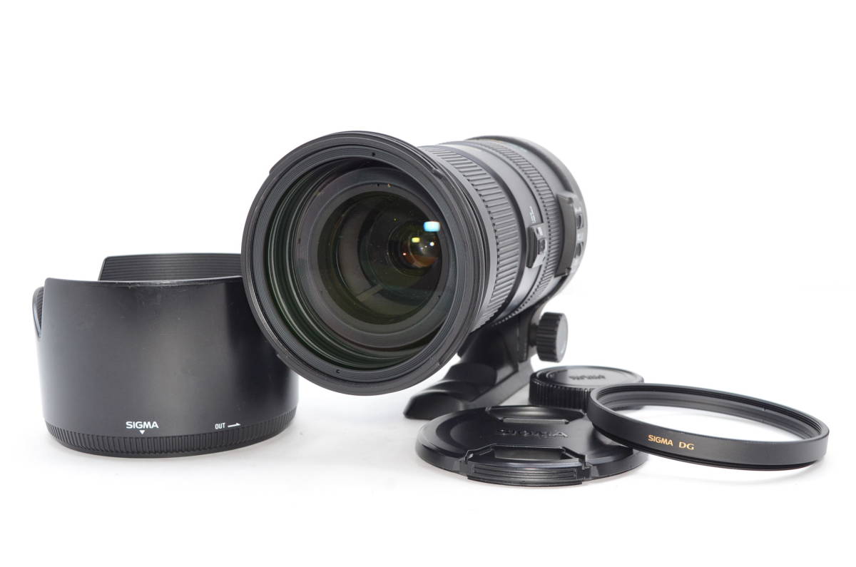 SIGMA シグマ APO 50-500mm F4.5-6.3 DG OS HSM ニコン Nikon用 フル