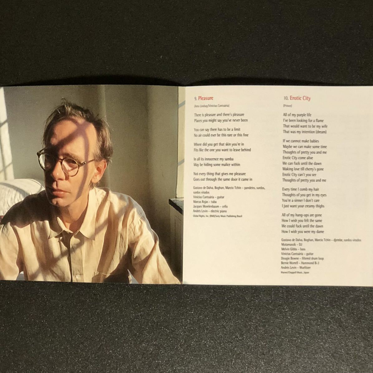 廃盤 帯付美品★CD「アート・リンゼイ/ムンド・シヴィリザード」★1996年アルバム Mundo Civilizado /ARTO LINDSAY アンビシャス・ラバーズ_画像6