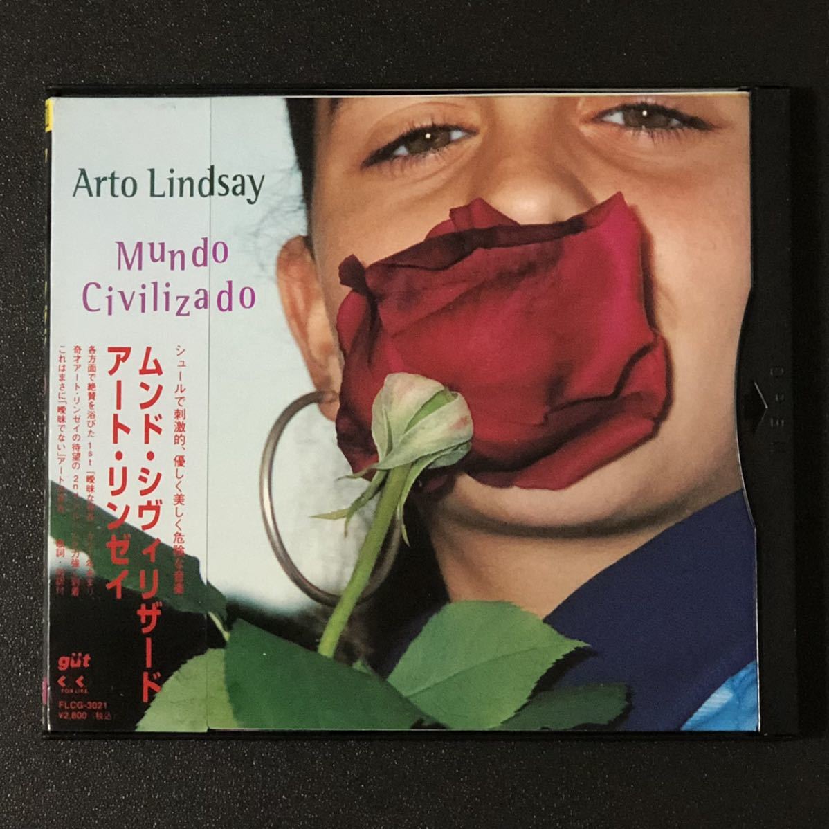 廃盤 帯付美品★CD「アート・リンゼイ/ムンド・シヴィリザード」★1996年アルバム Mundo Civilizado /ARTO LINDSAY アンビシャス・ラバーズ_画像1