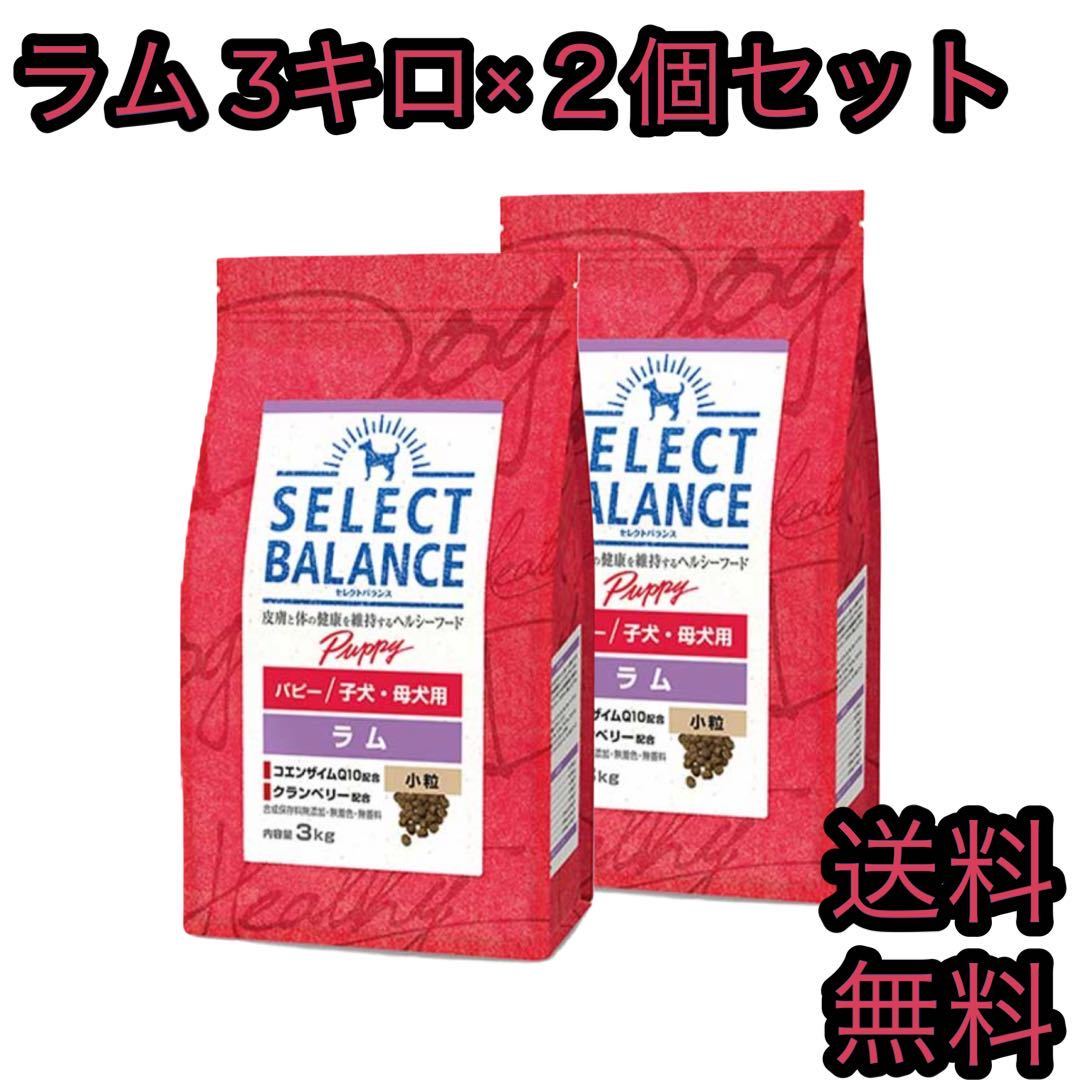 セレクトバランス パピー ラム 小粒 子犬・母犬用 3kg 2個セット ドッグフード workaround.pt