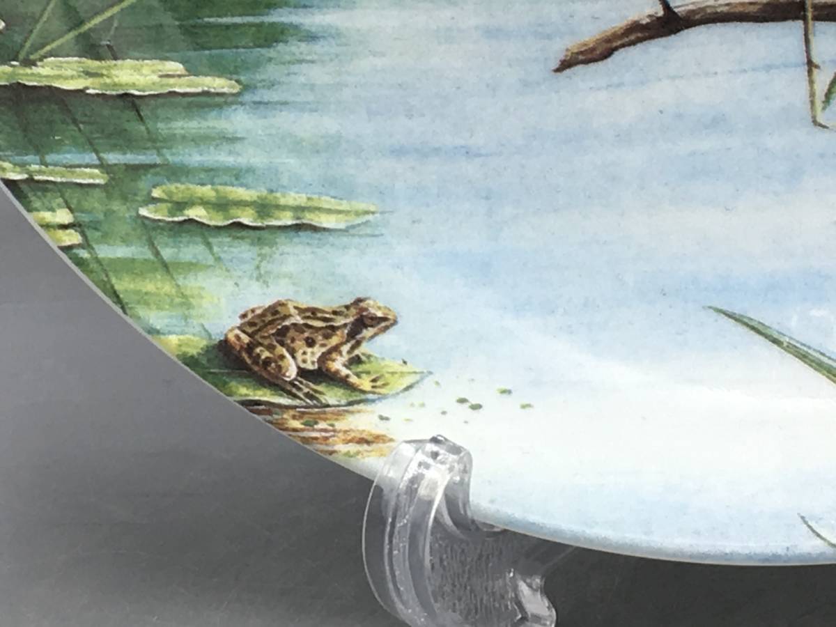 ウェッジウッド 川蝉 カワセミ 鳥 飾り皿 絵皿 (794)_画像6
