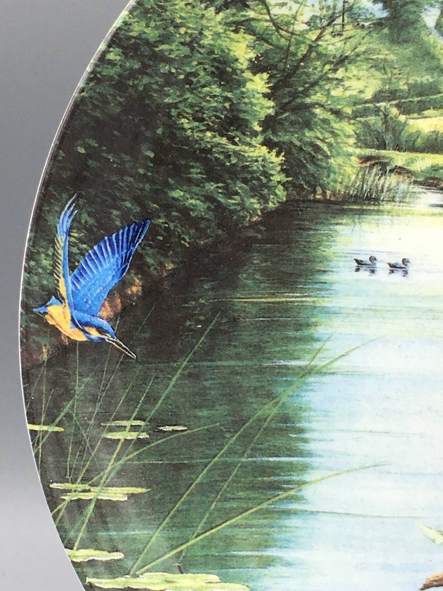 ウェッジウッド 川蝉 カワセミ 鳥 飾り皿 絵皿 (794)_画像4
