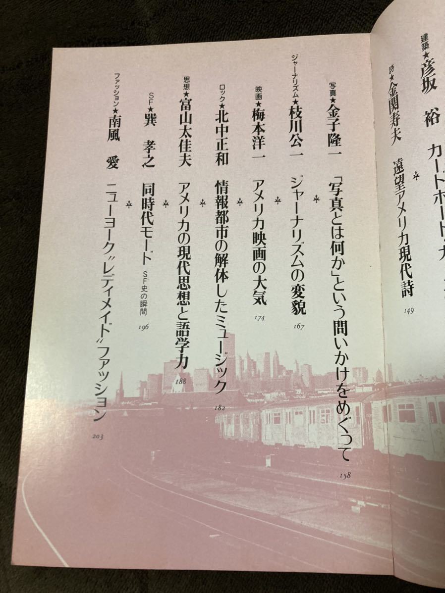 K154-21/ユリイカ 臨時増刊 青土社 アメリカン・カルチュア・マップ 市川幸雄 志村正雄 白石美雪 東野芳明 彦坂裕 金関寿夫 金子隆一_画像3