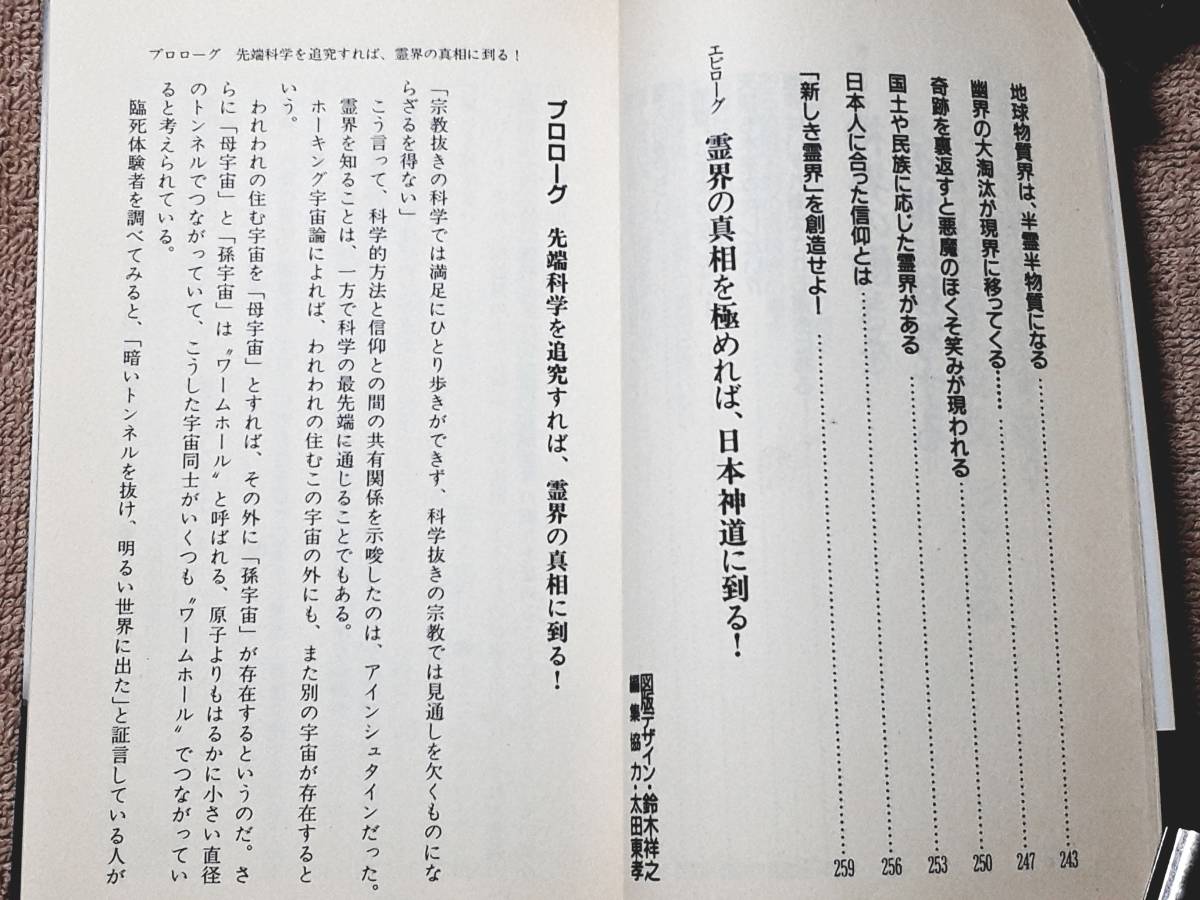 送料無料！　古書　真・霊界伝 日月神示とスウェデンボルグが明かす霊界の真相奥の奥　中矢伸一　徳間書店　１９９３年　初版　憑霊 中有界_画像9