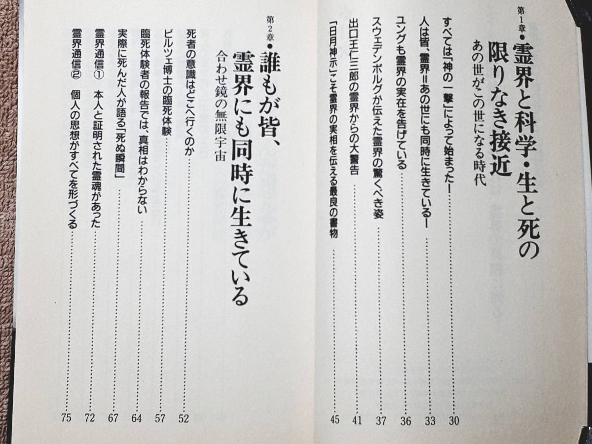 送料無料！　古書　真・霊界伝 日月神示とスウェデンボルグが明かす霊界の真相奥の奥　中矢伸一　徳間書店　１９９３年　初版　憑霊 中有界_画像5