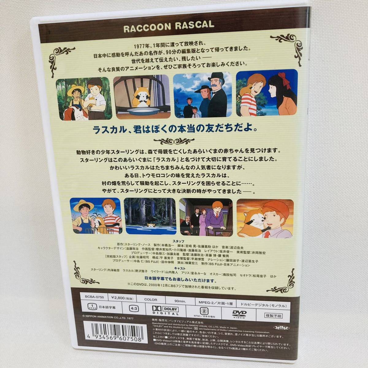 174.送料無料☆世界名作劇場　完結版　あらいぐまラスカル　DVD アニメ　レトロ　懐かしい　昭和