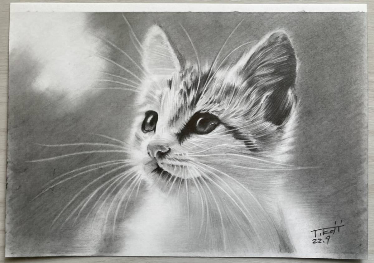 猫 ねこ 手描きイラスト 鉛筆画 A5  No.2 鉛筆画 手描きイラスト