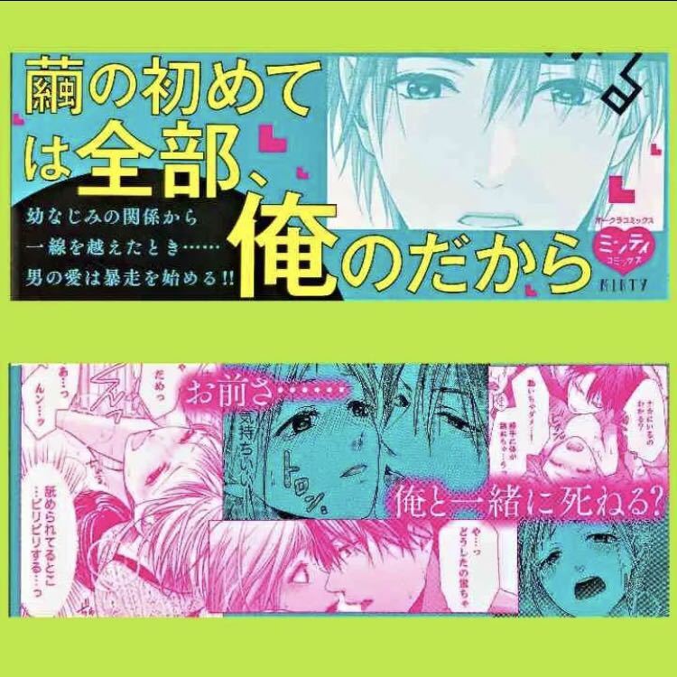 TL MINTY 筑谷たか菜 幼なじみのヤバ過ぎる愛し方 上・下セット オークラ 帯付き 少女漫画 セット販売 少女漫画 女性コミック