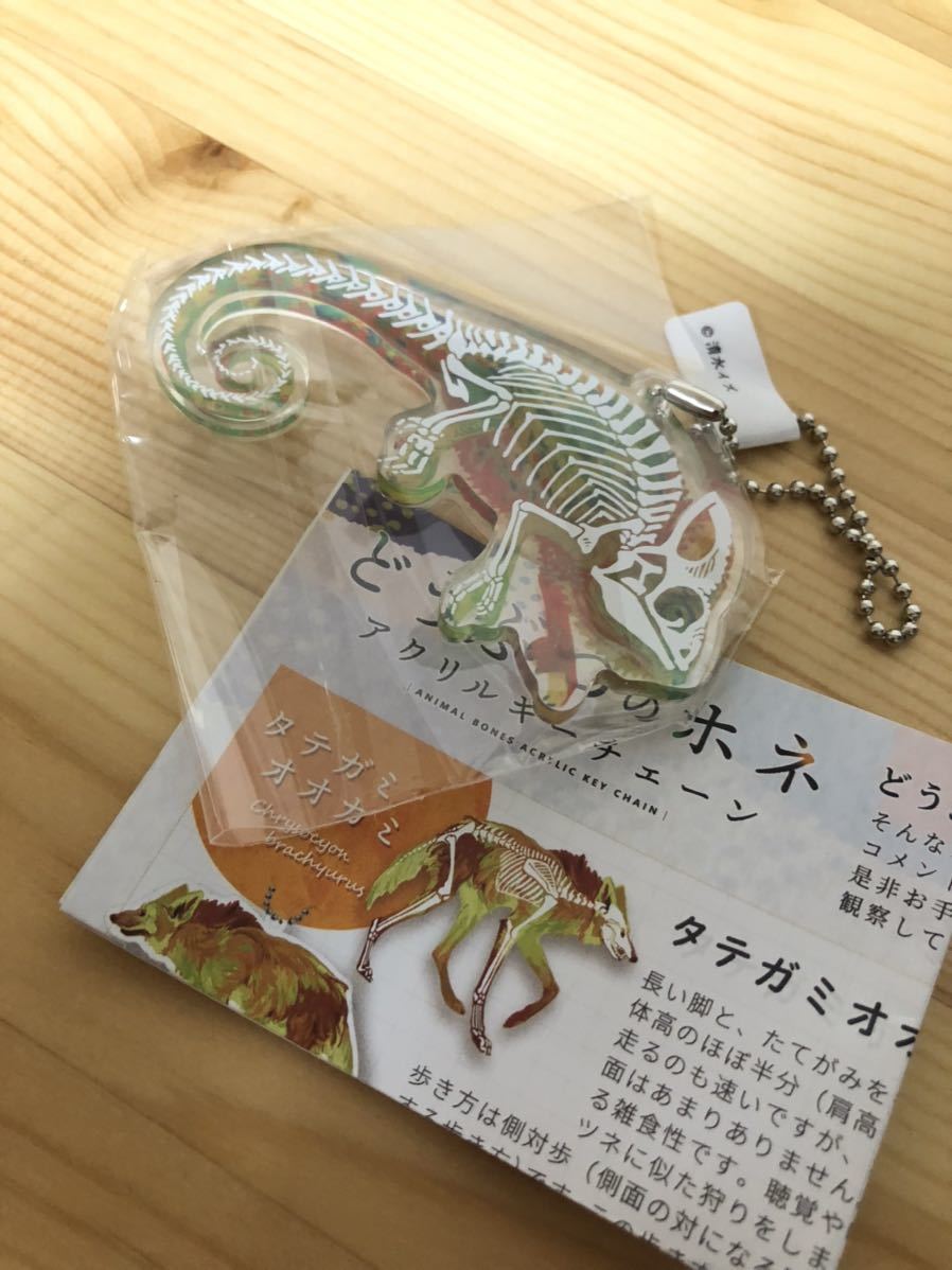  не использовался стоимость доставки 94 иен ..... ho ne акрил брелок для ключа evo si хамелеон Shimizu iz иллюстрации .ga коричневый животное хамелеон 