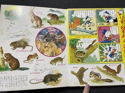 ｓ◎　ディズニー幼稚園図鑑　どうぶつのずかん　講談社　書籍　図鑑　 / K18_画像4