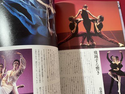 ｓ◎◎ 1995年11月号 DANCE MAGAZINE ダンスマガジン 速報 ピエトラガラ 特別企画 「コッペリア」の恋 書籍 雑誌   / K19上の画像3