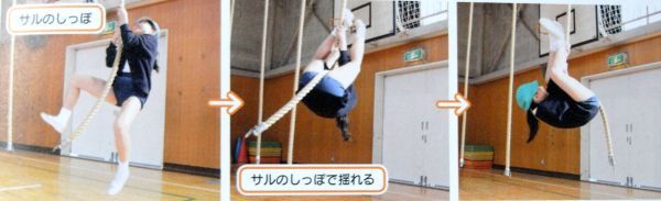 即決☆オールカラー/少年少女小学生の体育の本 ブルマー満載 即決☆オールカラー/少年少女小学生の体育の本 ブルマー満載