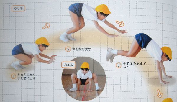 即決☆オールカラー/少年少女小学生の体育の本 ブルマー満載 即決☆オールカラー/少年少女小学生の体育の本 ブルマー満載