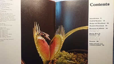 英語植物「The Wild Flowers野の花」Ron Wilson著　Chartwell Books Inc. 1979年